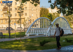 Статус умирающего присвоили жители скверу в центре Волгограда за 114 млн 