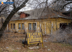 В Волгоградской области уничтожили 1600 фиктивных компаний