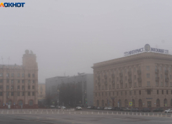 Депутатов в Волгограде признали самыми открытыми для населения 