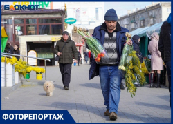 Продавцы разбиты горем: в Волгограде нет большого спроса на цветы перед 8 Марта