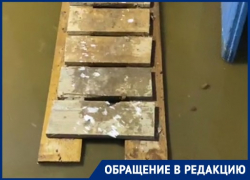 Шматки сала в унитазе вызвали фекальный потоп в Волгоградской области: видео