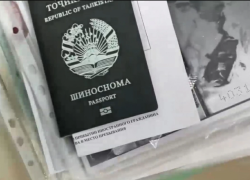 Организаторов незаконной миграции задержали в Волгограде