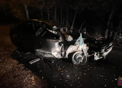 Машина всмятку: волгоградский водитель погиб после столкновения с деревом 