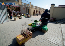 В Волгограде и области значительно подешевели овощи и яйца