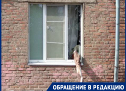 Спилить сухое дерево, а не любоваться выбитыми ветками стеклами надеются жители центра Волгограда 