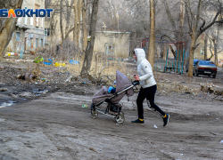 ЛДПР предложила освободить детей от платы за вывоз мусора