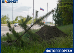 Похоже на массовые похороны: волгоградцев удивила очередная фишка благоустройства