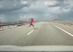 На мать бросившейся под машину 10-летней волгоградки составили протокол 