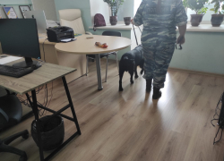 "Блокнот Волгограда" получил сообщение о "заложенной бомбе" 