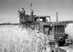 17 июня 1944 год – Возрожденный СТЗ выпустил первый трактор
