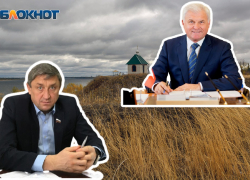 Два волгоградских депутата Госдумы пошли на праймериз по «Михайловскому» округу