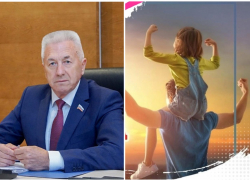 Волгоградские депутаты перешли на рисованные картинки после призыва быть скромнее в соцсетях