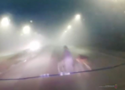 Грузовик насмерть сбил мужчину на трассе в Волгоградской области: момент ДТП попал на видео