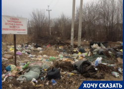 Мусор вдоль дорог и крысы: как поселок под Волгоградом за год стал громадной свалкой
