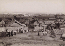 Две эпидемии тифа бушевали в Царицыне в начале 20 века 