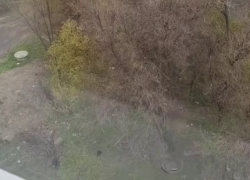 Снег прошел в Волгограде под конец апреля – видео