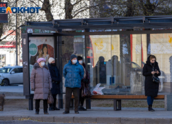 В Волгограде обсуждают бесплатный проезд на транспорте для детей 