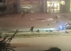 Под Волгоградом бездомная собака покусала девушку 