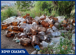 Армия пивных бутылок встречает проезжающих в электричках волгоградцев