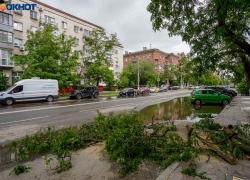 Затяжное похолодание пришло в Европейскую Россию: что ждать волгоградцам