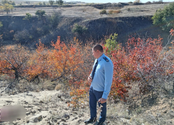 Трагическую историю с погибшей под завалами песка волгоградской школьницей проконтролирует Бастрыкин