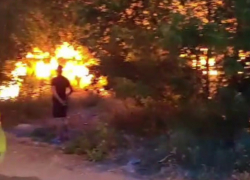 Очередной пожар на мусорке вспыхнул в Волгограде: видео