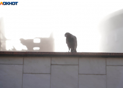 Ноябрьское похолодание придет в Волгоград с новой недели