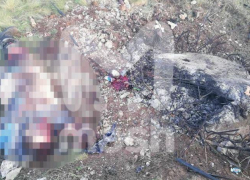 Стала известна предварительная причина взрыва снаряда и гибели людей под Волгоградом