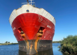 В Волгоградской области столкнулись теплоход с буксиром