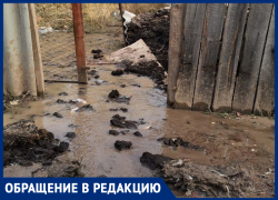 По улицам стекает навоз: прорванный водопровод топит улицы в Волгограде
