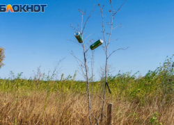 Алкоголь запретят продавать в первый день осени в Волгограде