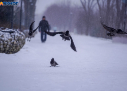 Волгоградская область стала главной целью атак ВСУ: за ночь сбито 45 БПЛА