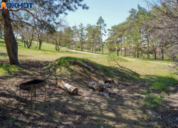 Волгоградцам запретили посещать леса до 18 сентября