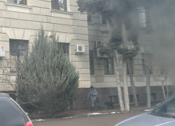 Будто Путина ждут: полицейские со служебными собаками заполонили центр Волгограда