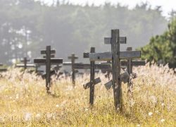 Пять волгоградцев умерли от отравления алкоголем в минувшем году