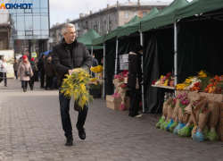 Ясно, без осадков и тепло: синоптики о погоде в Волгограде на 12 марта
