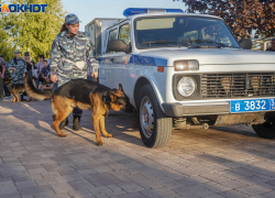 Разминирование в процессе: новые подробности атаки ВСУ на Волгоград