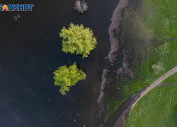 На берегу Дона в Волгоградской области нашли труп в зимней одежде