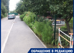 “На верёвочке должна водить этого выродка”: сходившего в туалет в палисадник ребенка-аутиста оскорбили в Волгограде 
