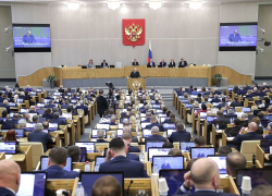 Депутаты Госдумы могут сознательно саботировать принятие обозначенных Путиным законов, - волгоградский общественник