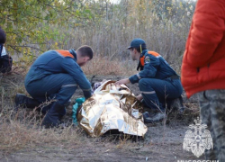 В зарослях камыша нашли ушедшую за грибами волгоградскую пенсионерку 