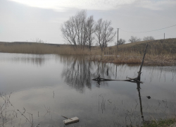 Труп волгоградца нашли на границе с Ростовской и Воронежской областями 