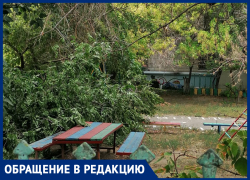 Огромная ветка рухнула на площадку детского сада в центре Волгограда