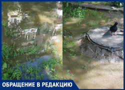Фонтанирует канализация: во дворе многоэтажки в Волгограде образовался «пруд» 