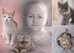 Умерла хозяйка приюта со 170 кошками в Волгограде