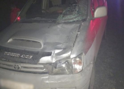 Минивэн сбил насмерть разгуливающего по темной трассе волгоградца