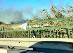 Бушующий в Городище пожар попал на видео 