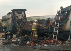 На трассе в Волгоградской области выгорела фура с фруктами
