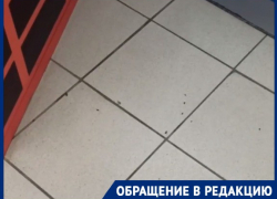 Полчище тараканов в "Магните" сняли на видео в Волгограде