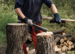 Юный дровосек едва не лишил себя руки под Волгоградом